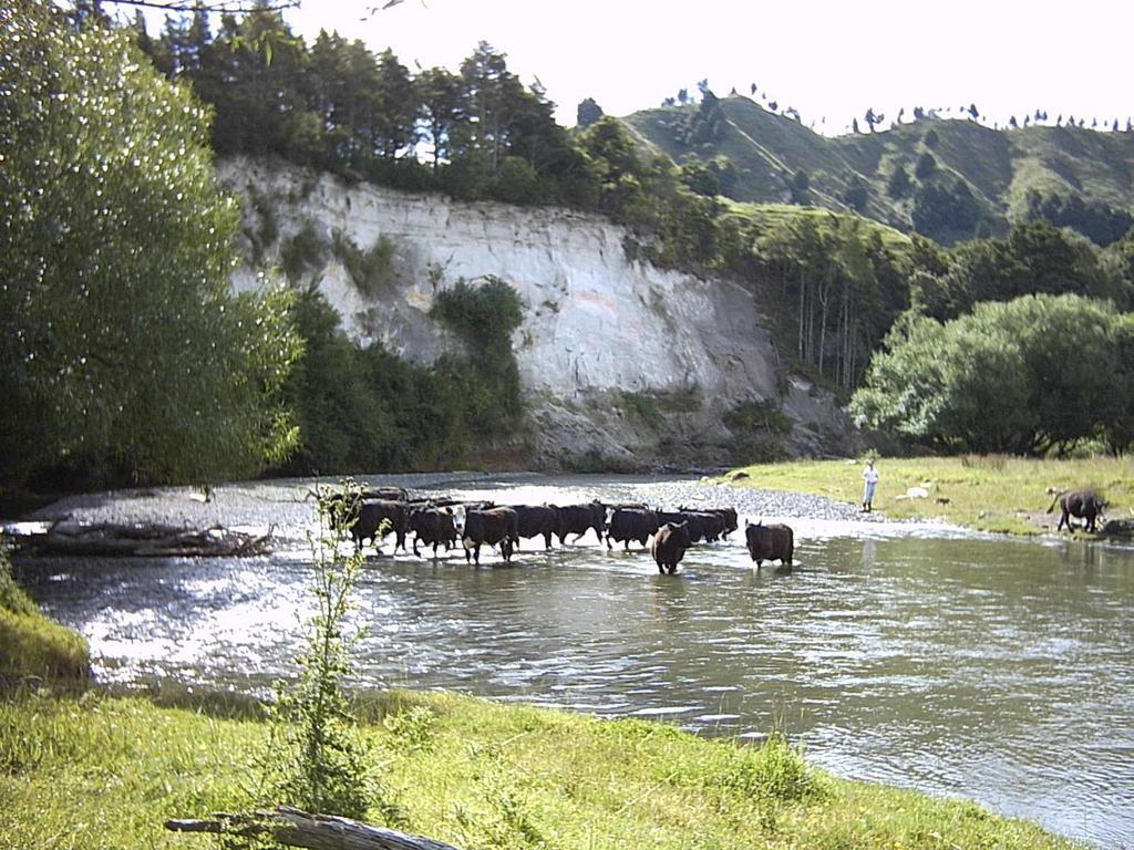 Earthsounds Country Cottage Taumarunui Exterior foto